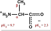 Chemical structure of Alanine
