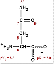 Chemical structure for asparagine