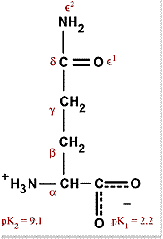 Chemical structure for glutamine
