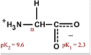 Chemical structure for glycine