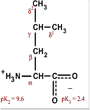 chemical structure of valine