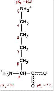 Chemical structure for lysine