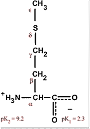 Chemical structure for methionine