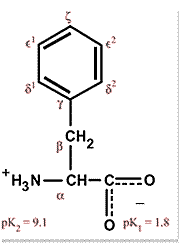 chemical structure for phenylalanine