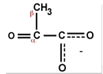 Chemical structure of Pyruvate