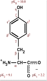 Chemical structure for tyrosine