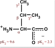 Chemical structure for valine