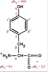 Chemical structure of tyrosine