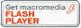 Download Flash Player button