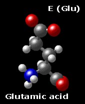 Molecular structure of glutamic acid  HOOC-(CH2)2-CH(NH3)-COO