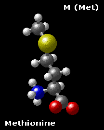 Molecular structure of methionine CH3-S-(CH2)2-CH(NH3)-COO