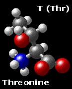 molecular structure of threonine CH3-CH(OH)-CH(NH3)-COO