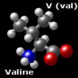Molecular Structure of Valine (CH3)2-CH-CH(NH3)-COO
