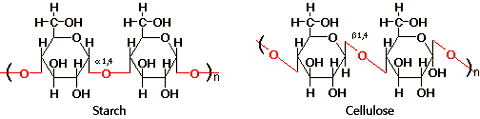 Structural formula of starch on the left and a cellulose on the right