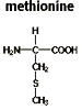 Chemical structure of methionine C5H11NO2S