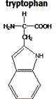 Chemical structure of tryptophan C9H11NO2 