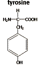 Chemical structure of tyrosine C9H11NO3 