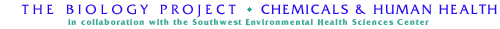Chemicals & Human Health Banner