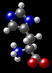 Molecular Structure of Histidine