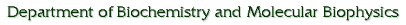 The Depratment of Biochemistry and Molecular Biophysics, now part of Chemistry and Biochemstry