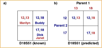 Example 4