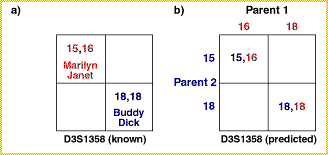 Example 5
