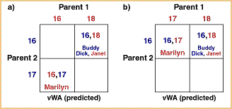Example 6