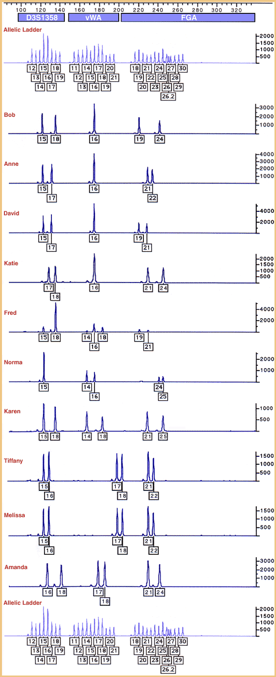 STR data