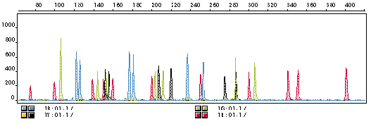 Example Profile