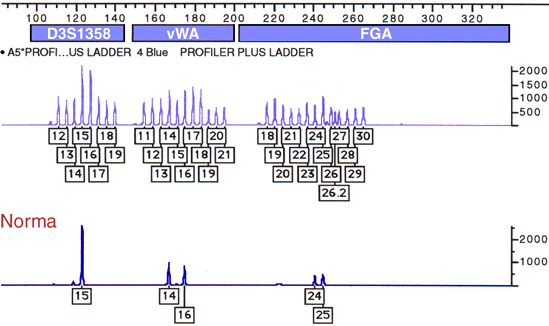 Sample Data